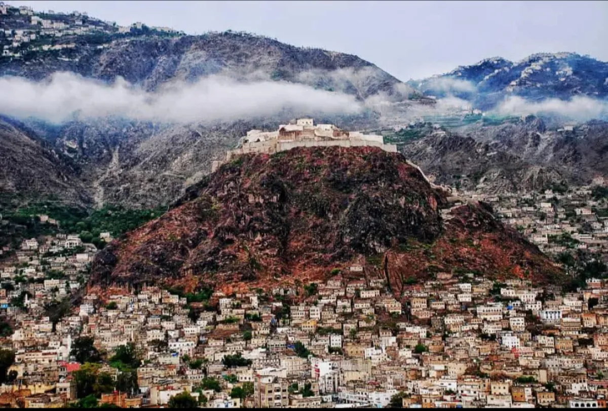 جريمة الإخوان الأكبر في ثلاث مناطق عسكرية ومحور قتالي.. لجنة سعودية للتحقيق