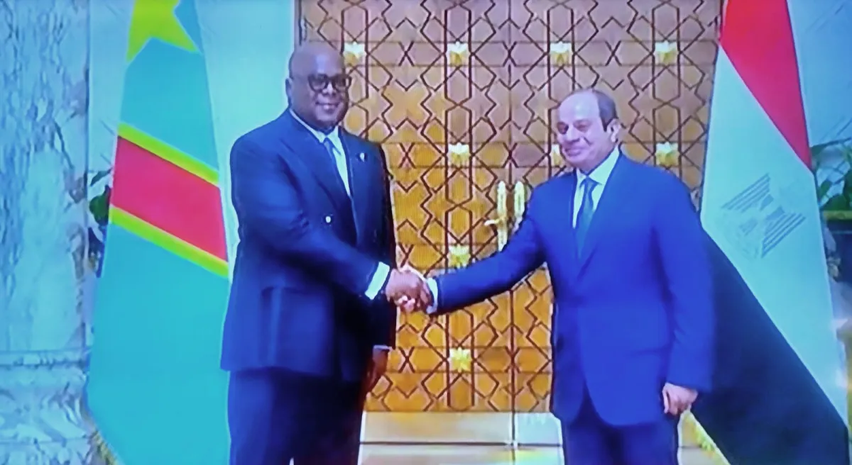 السيسي يبحث مع رئيس الكونغو الديمقراطية تعزيز التعاون والقضايا الإقليمية