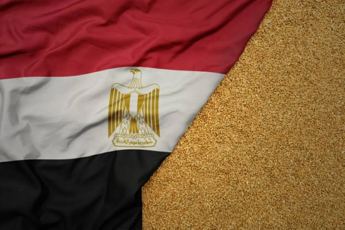 مصر تبحث مع بولندا زيادة واردات القمح وتعزيز التعاون في تخزين الحبوب