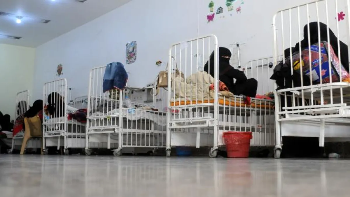 تعز: 135 إصابة بحمى الضنك وحملة مكافحة للبعوض في ذوباب