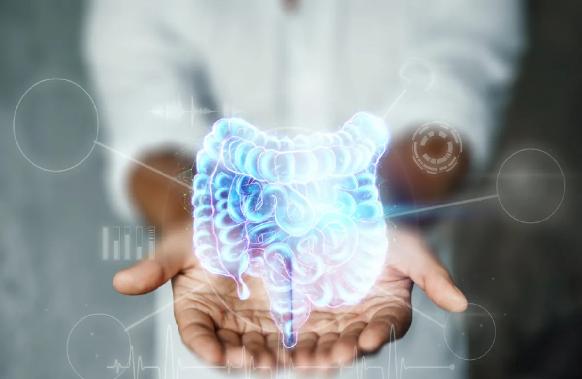 مركب بكتيري في الأمعاء يسرع تدهور الدماغ ويكشف هدفاً علاجياً جديداً لألزهايمر